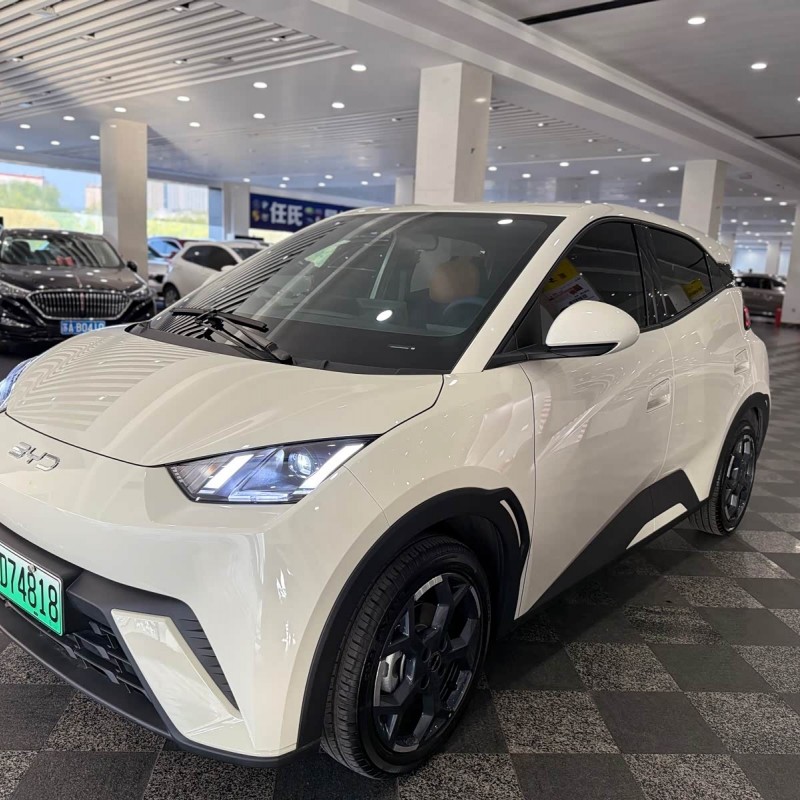 Seagull 2025 305km Freedom Edition