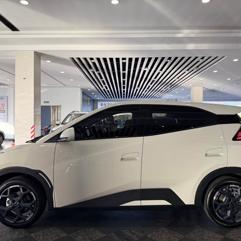 Seagull 2025 305km Freedom Edition Seagull 2025 305km Freedom Edition