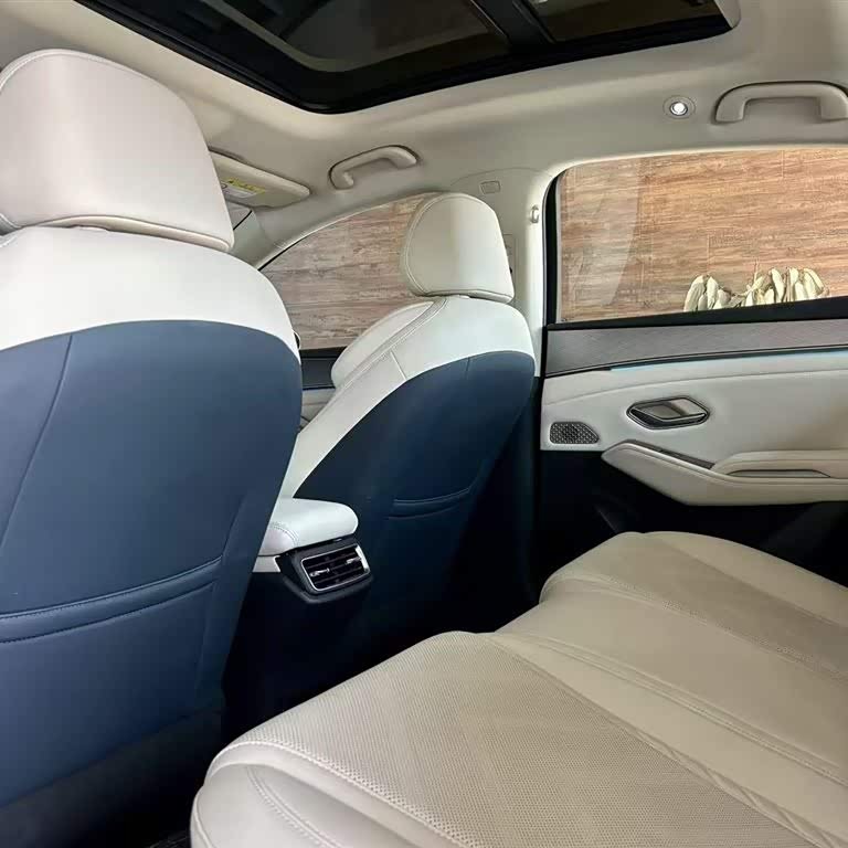 Qin L 2024 DM-i 120KM Excellence Edition Qin L 2024 DM-i 120KM Excellence Edition