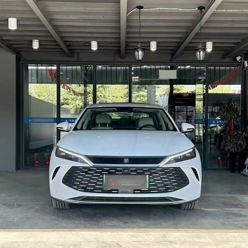 Qin L 2024 DM-i 120KM Excellence Edition Qin L 2024 DM-i 120KM Excellence Edition