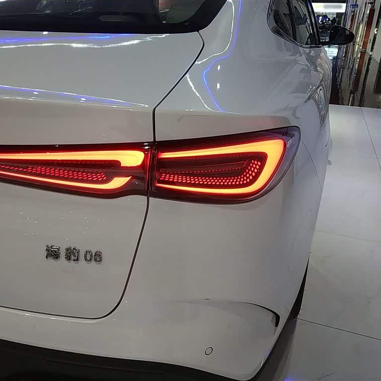 Haibao 06 New Energy 2024 DM-i 120KM Premium Edition Haibao 06 New Energy 2024 DM-i 120KM Premium Edition