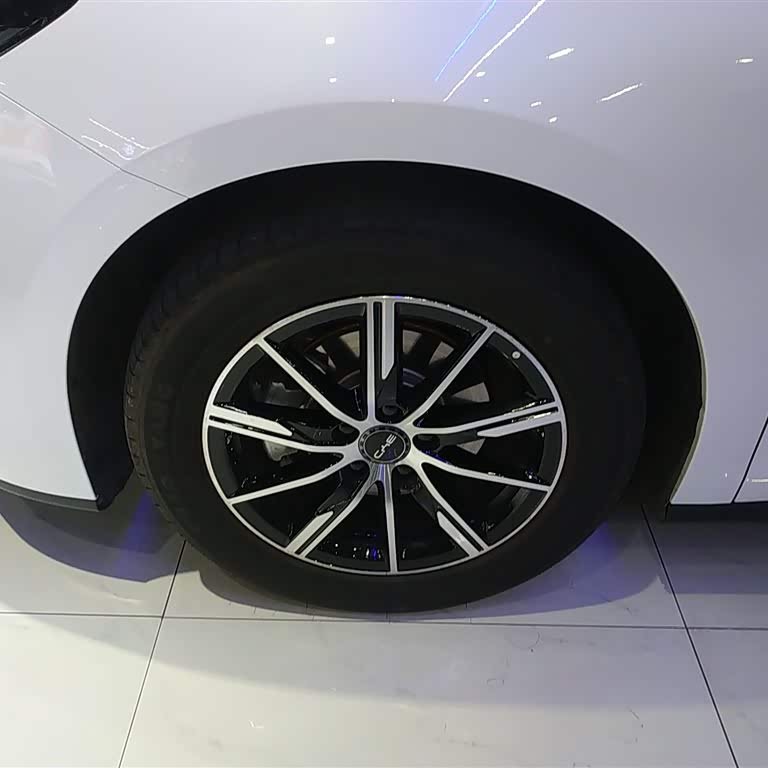 Haibao 06 New Energy 2024 DM-i 120KM Premium Edition Haibao 06 New Energy 2024 DM-i 120KM Premium Edition