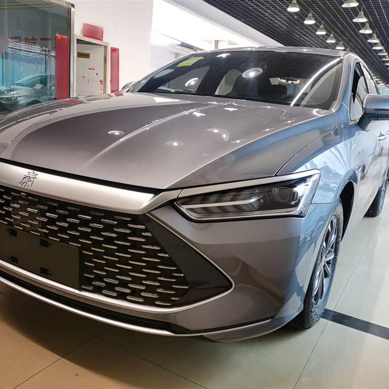 Qin PLUS 2024 Honor Edition DM-i 55KM Leading Edition