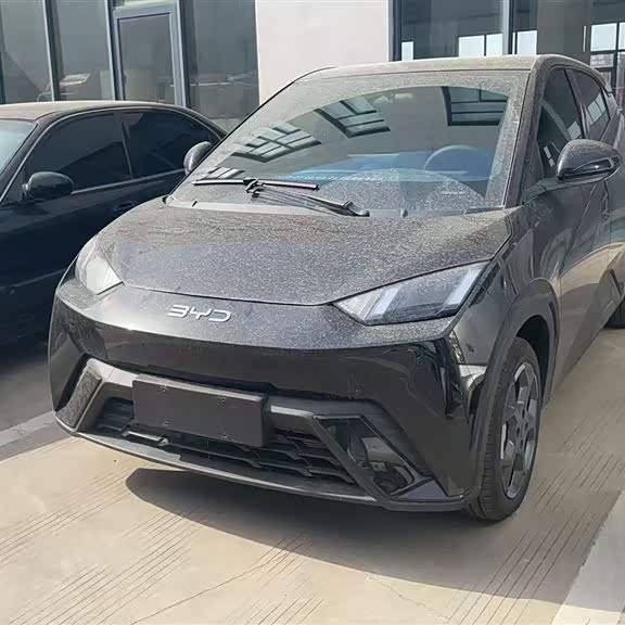 Seagull 2025 405km Flying Edition