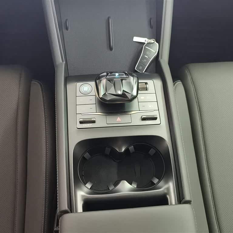 Qin L 2024 DM-i 120KM Leading Edition Qin L 2024 DM-i 120KM Leading Edition