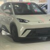 Seagull 2025 305km Vitality Edition