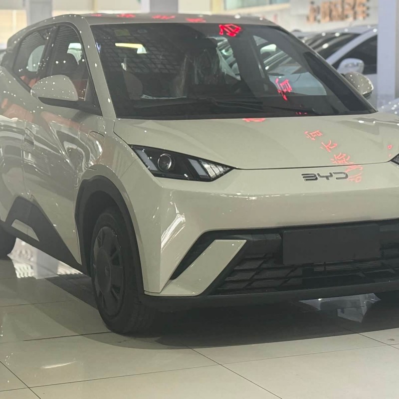 Seagull 2025 305km Vitality Edition Seagull 2025 305km Vitality Edition