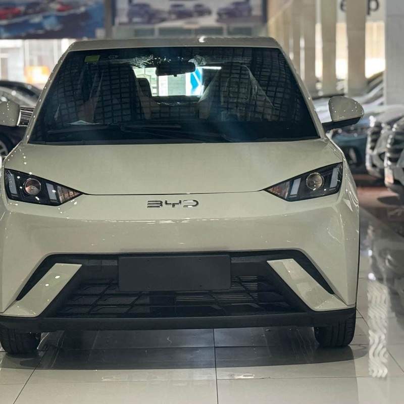 Seagull 2025 305km Vitality Edition Seagull 2025 305km Vitality Edition
