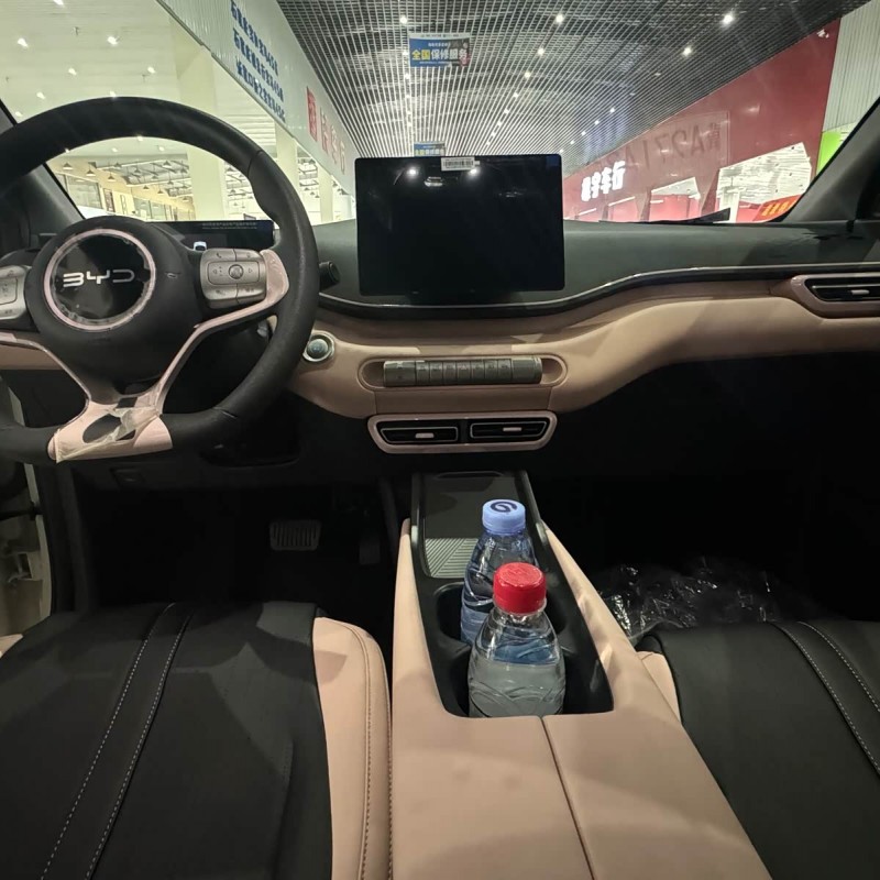 Seagull 2025 305km Vitality Edition Seagull 2025 305km Vitality Edition