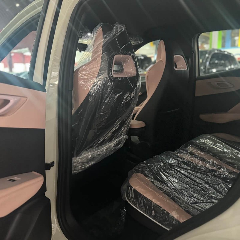 Seagull 2025 305km Vitality Edition Seagull 2025 305km Vitality Edition