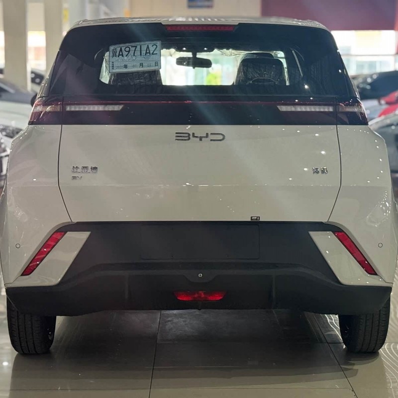 Seagull 2025 305km Vitality Edition Seagull 2025 305km Vitality Edition