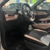Seagull 2025 305km Vitality Edition