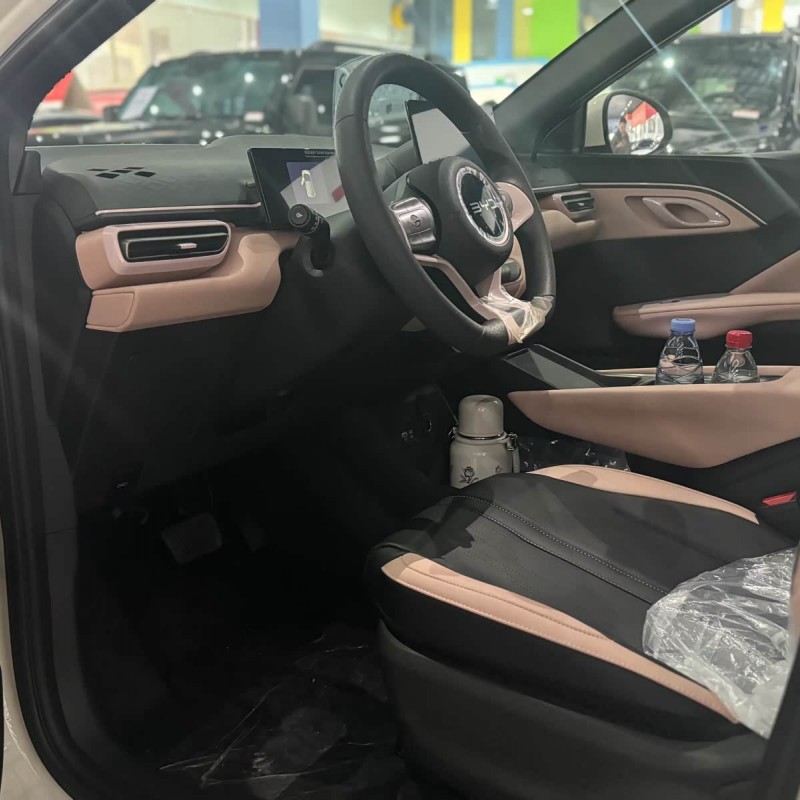 Seagull 2025 305km Vitality Edition Seagull 2025 305km Vitality Edition
