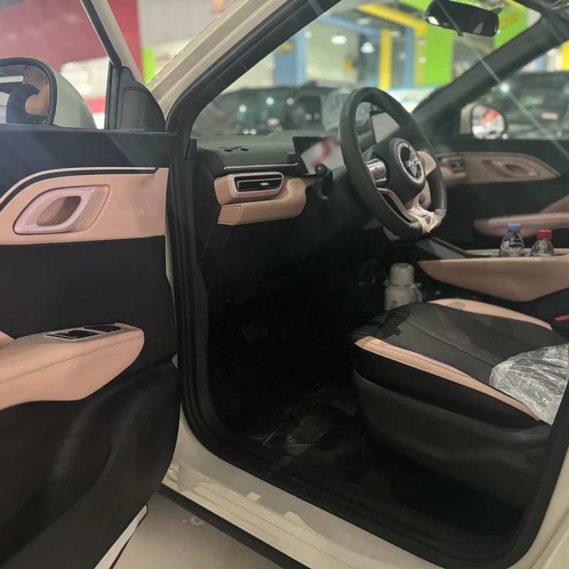 Seagull 2025 305km Vitality Edition Seagull 2025 305km Vitality Edition