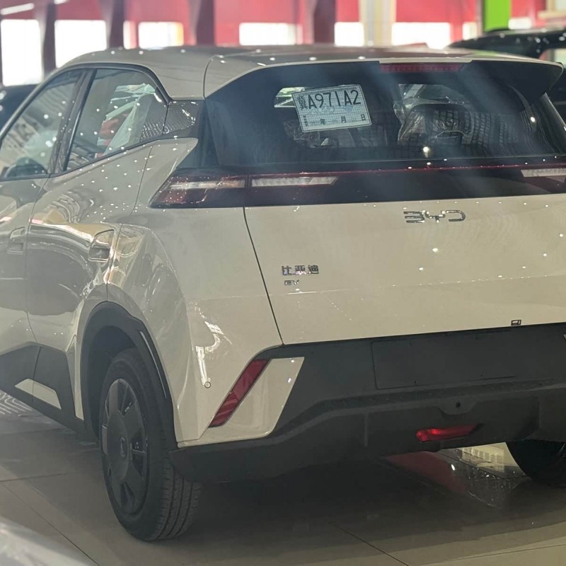 Seagull 2025 305km Vitality Edition Seagull 2025 305km Vitality Edition