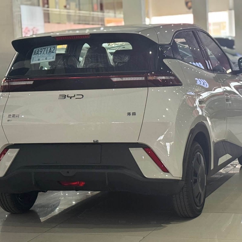 Seagull 2025 305km Vitality Edition Seagull 2025 305km Vitality Edition