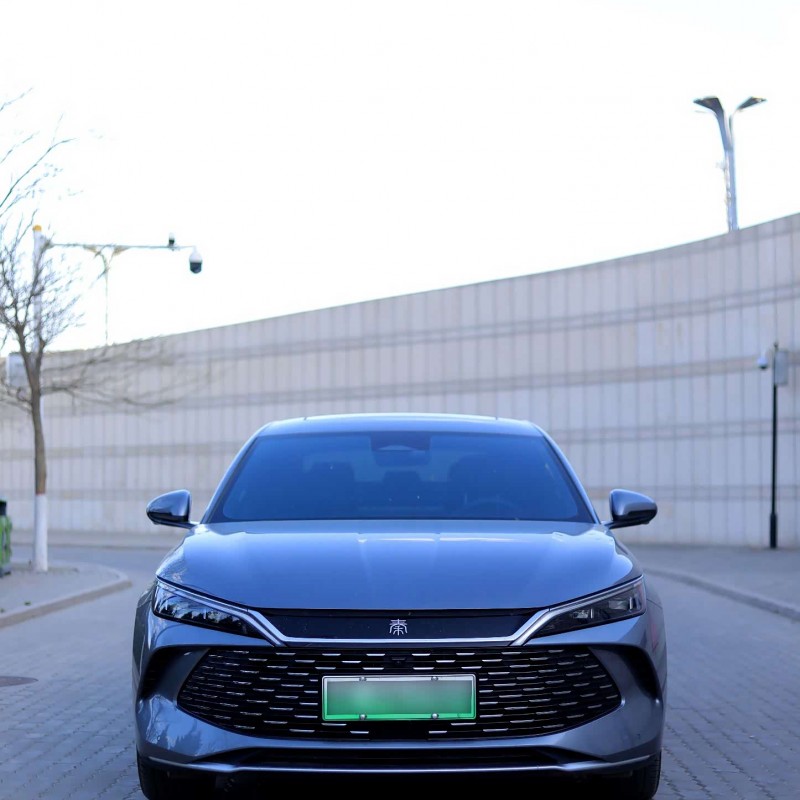 Qin L 2024 DM-i 120KM Excellence Edition Qin L 2024 DM-i 120KM Excellence Edition