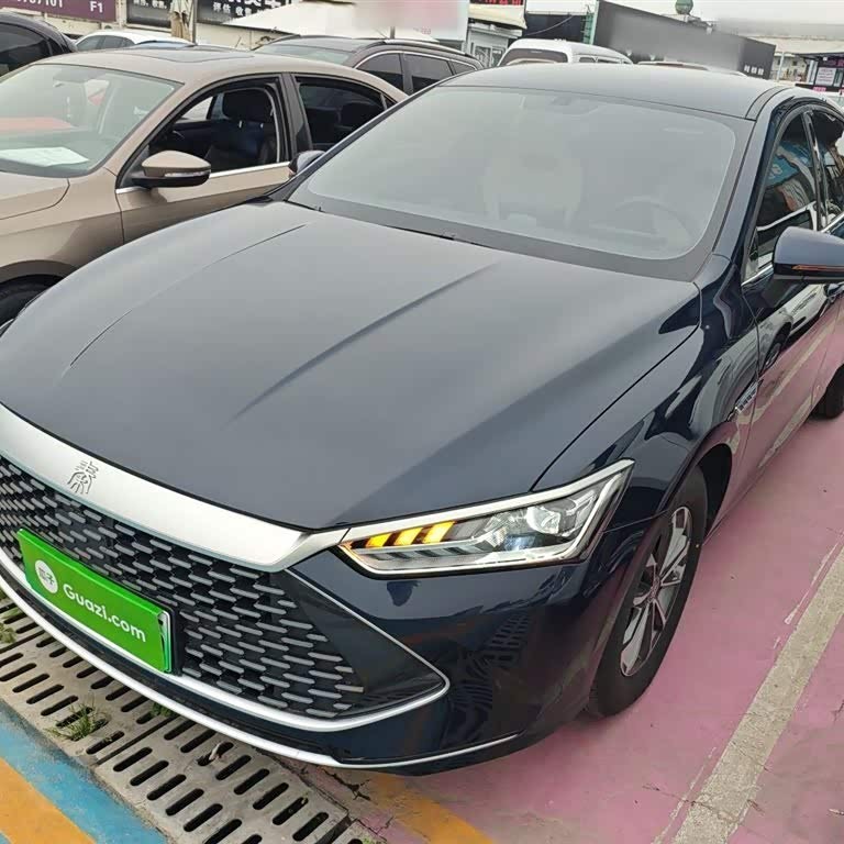Qin PLUS 2024 Honor Edition DM-i 55KM Leading Edition