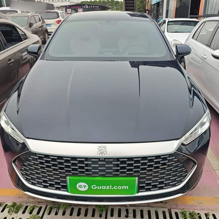 Qin PLUS 2024 Honor Edition DM-i 55KM Leading Edition Qin PLUS 2024 Honor Edition DM-i 55KM Leading Edition
