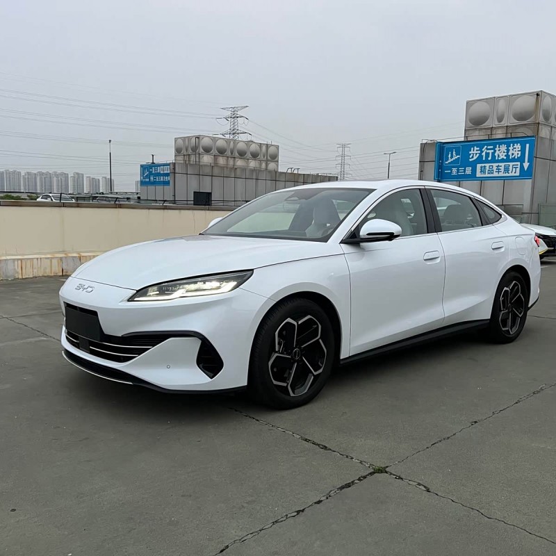 Haibao 06 New Energy 2024 DM-i 120KM Flagship Model
