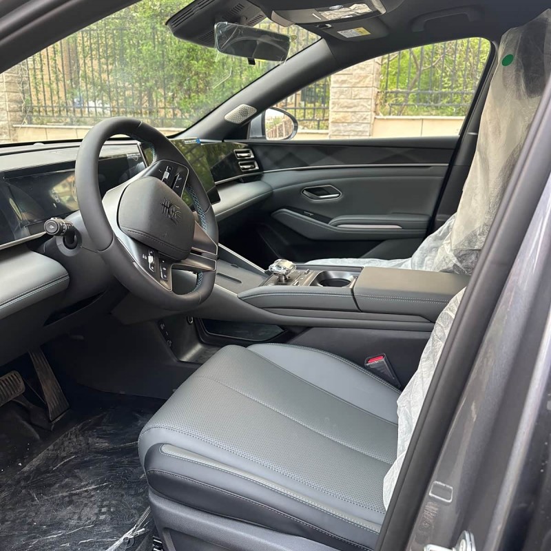Qin L 2024 DM-i 80KM Beyond Edition Qin L 2024 DM-i 80KM Beyond Edition