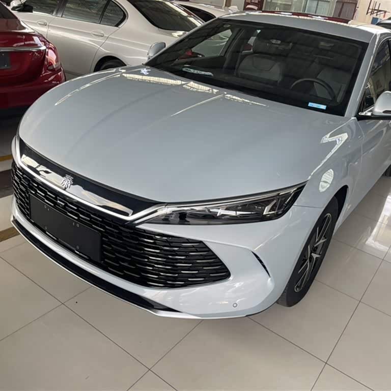 Qin L 2024 DM-i 120KM Leading Edition