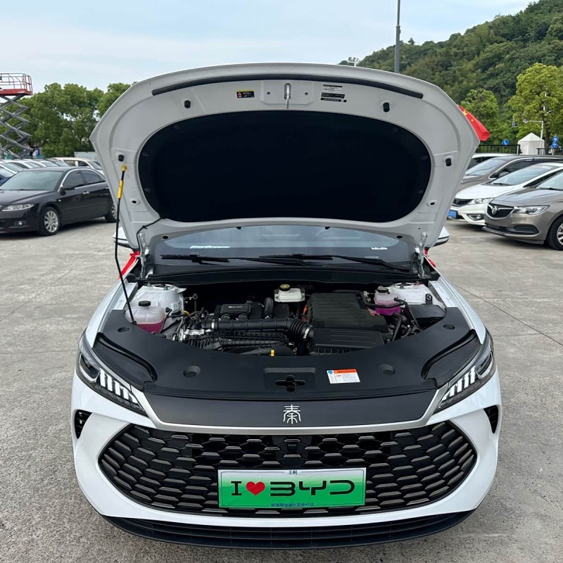Qin PLUS 2025 DM-i Intelligent Driving Edition 55KM Beyond Edition Qin PLUS 2025 DM-i Intelligent Driving Edition 55KM Beyond Edition