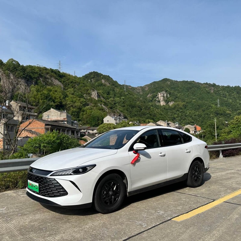 Qin PLUS 2025 DM-i Intelligent Driving Edition 55KM Beyond Edition