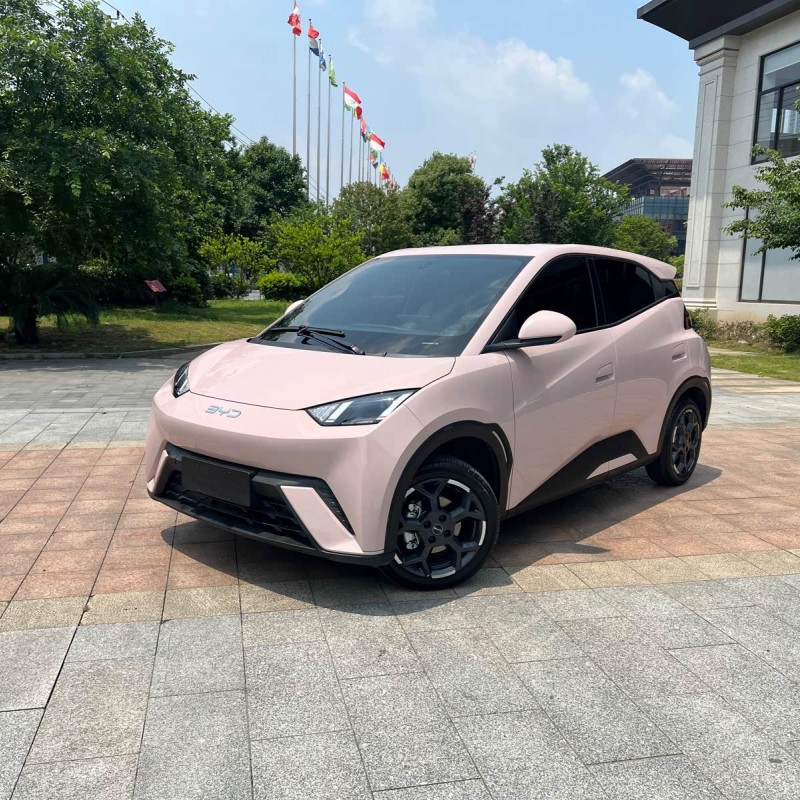 Seagull 2025 305km Freedom Edition