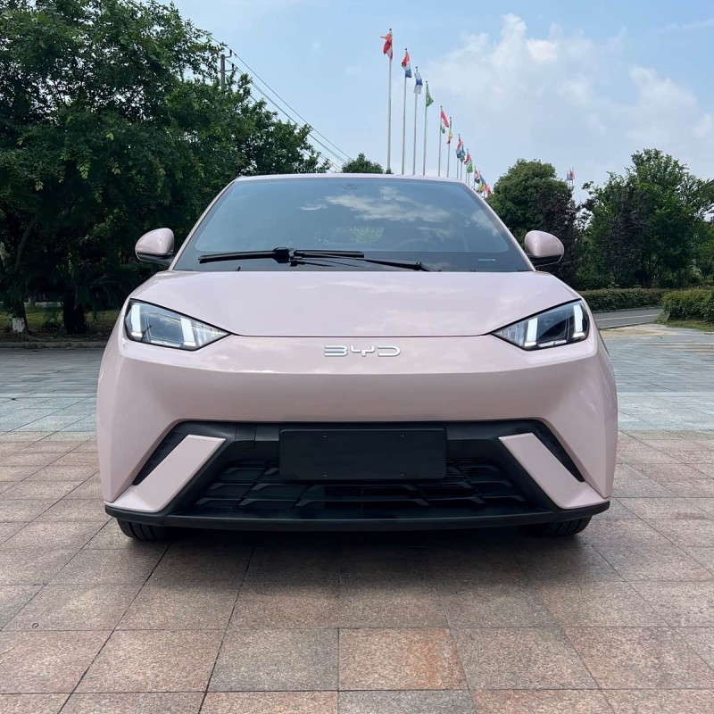 Seagull 2025 305km Freedom Edition Seagull 2025 305km Freedom Edition