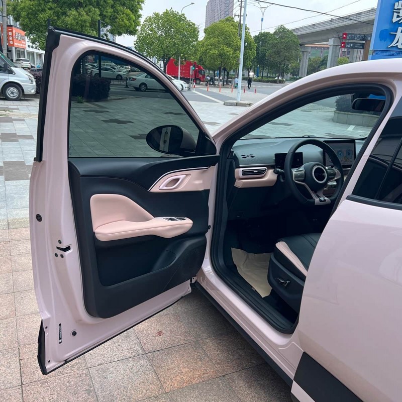 Seagull 2025 305km Freedom Edition Seagull 2025 305km Freedom Edition