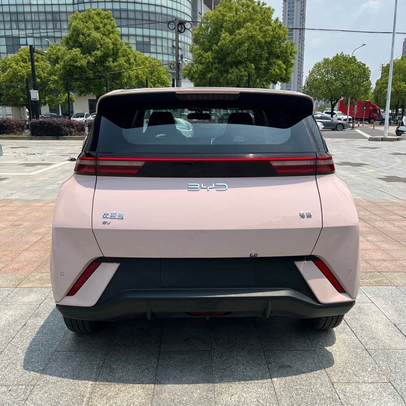 Seagull 2025 305km Freedom Edition Seagull 2025 305km Freedom Edition