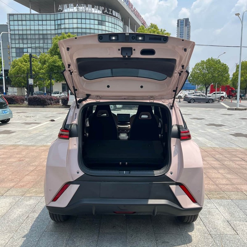 Seagull 2025 305km Freedom Edition Seagull 2025 305km Freedom Edition