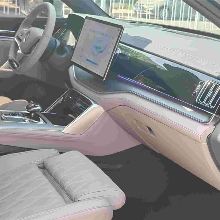 Tang New Energy 2024 DM-i Honor Edition 112KM Flagship Model Tang New Energy 2024 DM-i Honor Edition 112KM Flagship Model