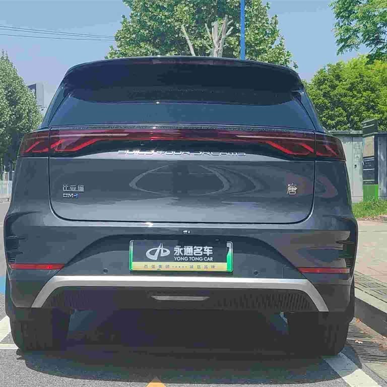 Tang New Energy 2024 DM-i Honor Edition 112KM Flagship Model Tang New Energy 2024 DM-i Honor Edition 112KM Flagship Model