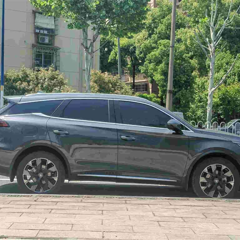 Tang New Energy 2024 DM-i Honor Edition 112KM Flagship Model Tang New Energy 2024 DM-i Honor Edition 112KM Flagship Model