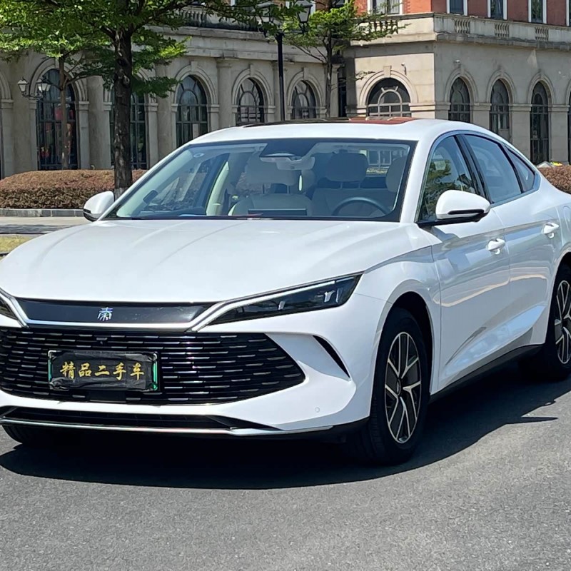 Qin L 2024 DM-i 120KM Beyond Edition