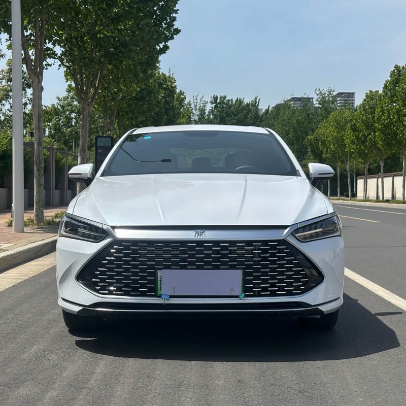 Qin PLUS 2024 Honor Edition DM-i 120KM Leading Edition Qin PLUS 2024 Honor Edition DM-i 120KM Leading Edition