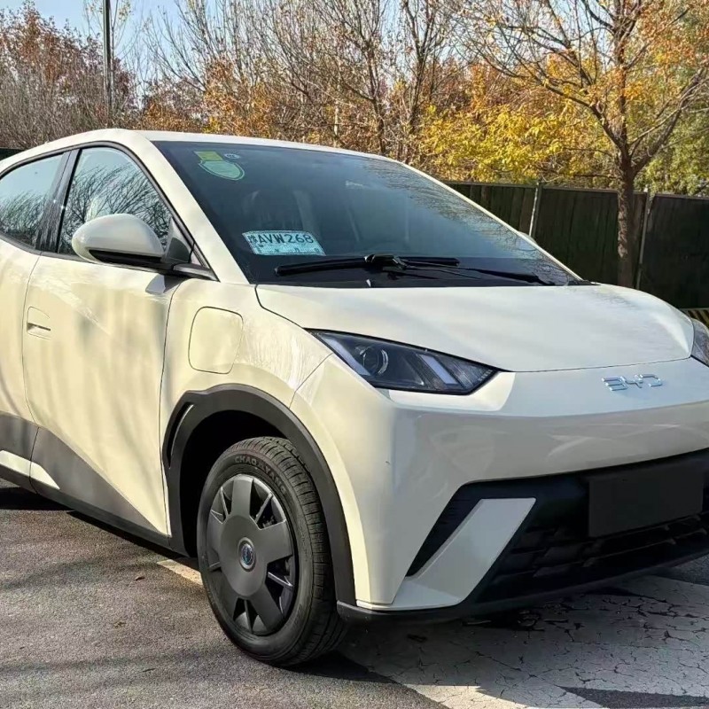 Seagull 2025 305km Vitality Edition Seagull 2025 305km Vitality Edition