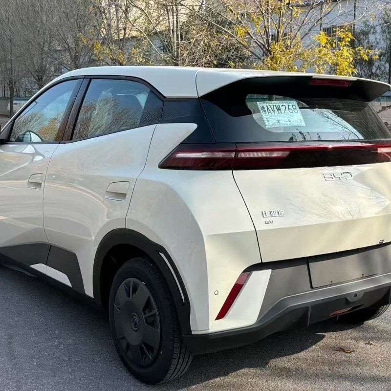 Seagull 2025 305km Vitality Edition Seagull 2025 305km Vitality Edition