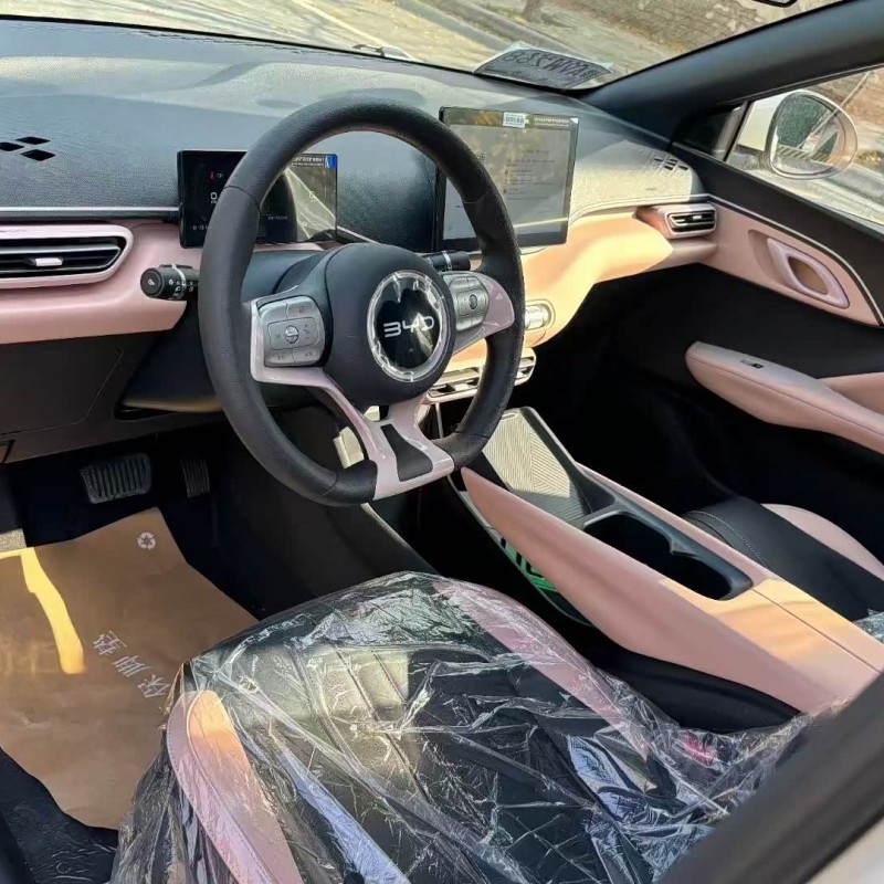 Seagull 2025 305km Vitality Edition Seagull 2025 305km Vitality Edition
