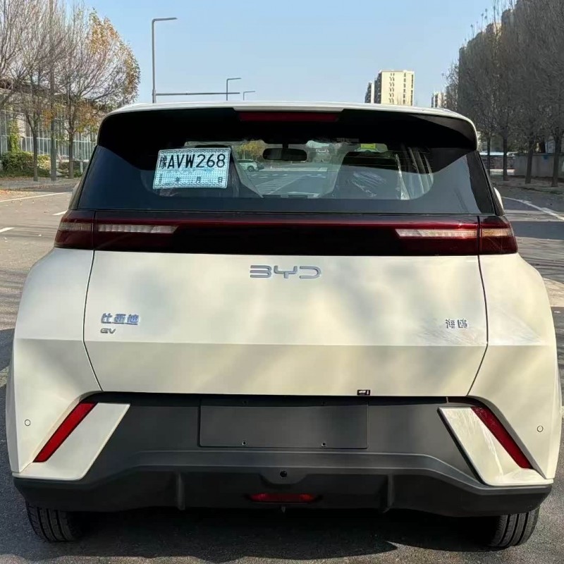 Seagull 2025 305km Vitality Edition Seagull 2025 305km Vitality Edition