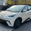 Seagull 2025 305km Vitality Edition