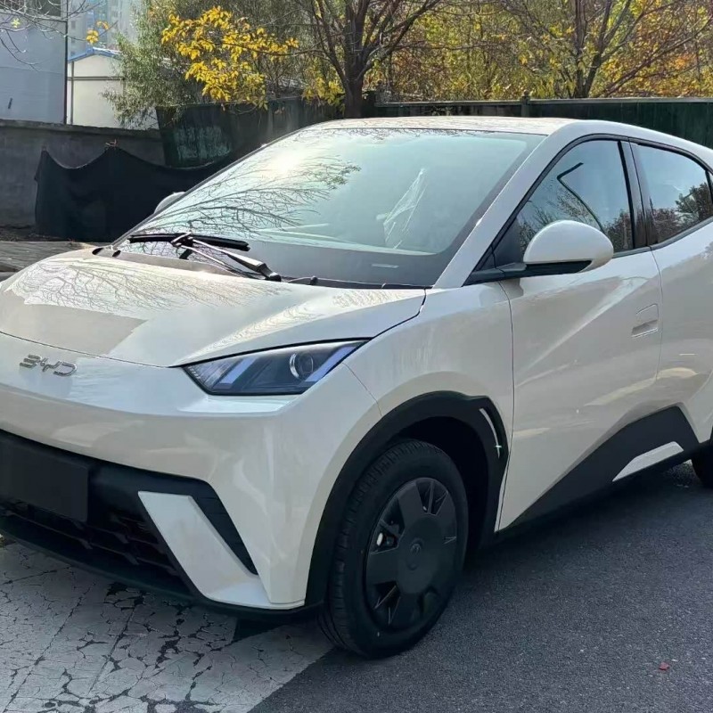 Seagull 2025 305km Vitality Edition