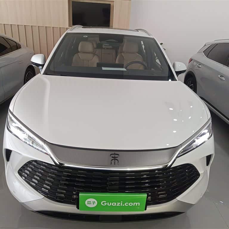Song L DM-i 2024 160km Excellence Edition Song L DM-i 2024 160km Excellence Edition