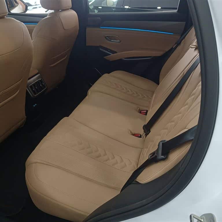 Song L DM-i 2024 160km Excellence Edition Song L DM-i 2024 160km Excellence Edition