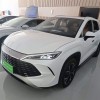 Song L DM-i 2024 160km Excellence Edition Song L DM-i 2024 160km Excellence Edition