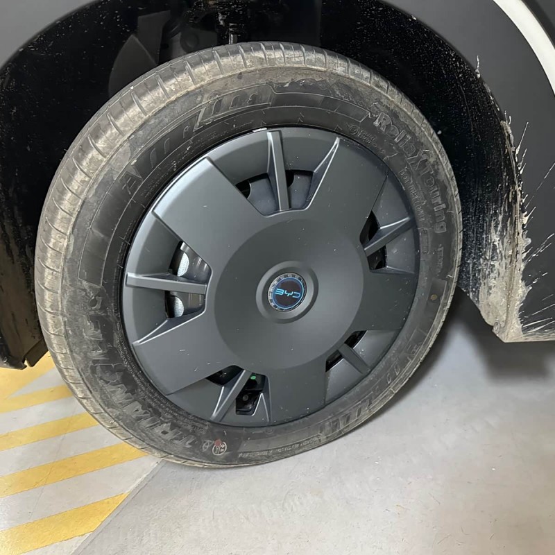 Seagull 2025 Smart Driving Edition 305km Vitality Edition Seagull 2025 Smart Driving Edition 305km Vitality Edition