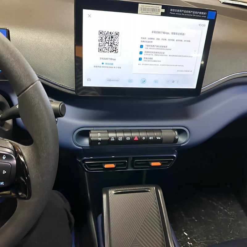 Seagull 2025 Smart Driving Edition 305km Vitality Edition Seagull 2025 Smart Driving Edition 305km Vitality Edition