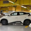 Seagull 2025 Smart Driving Edition 305km Vitality Edition